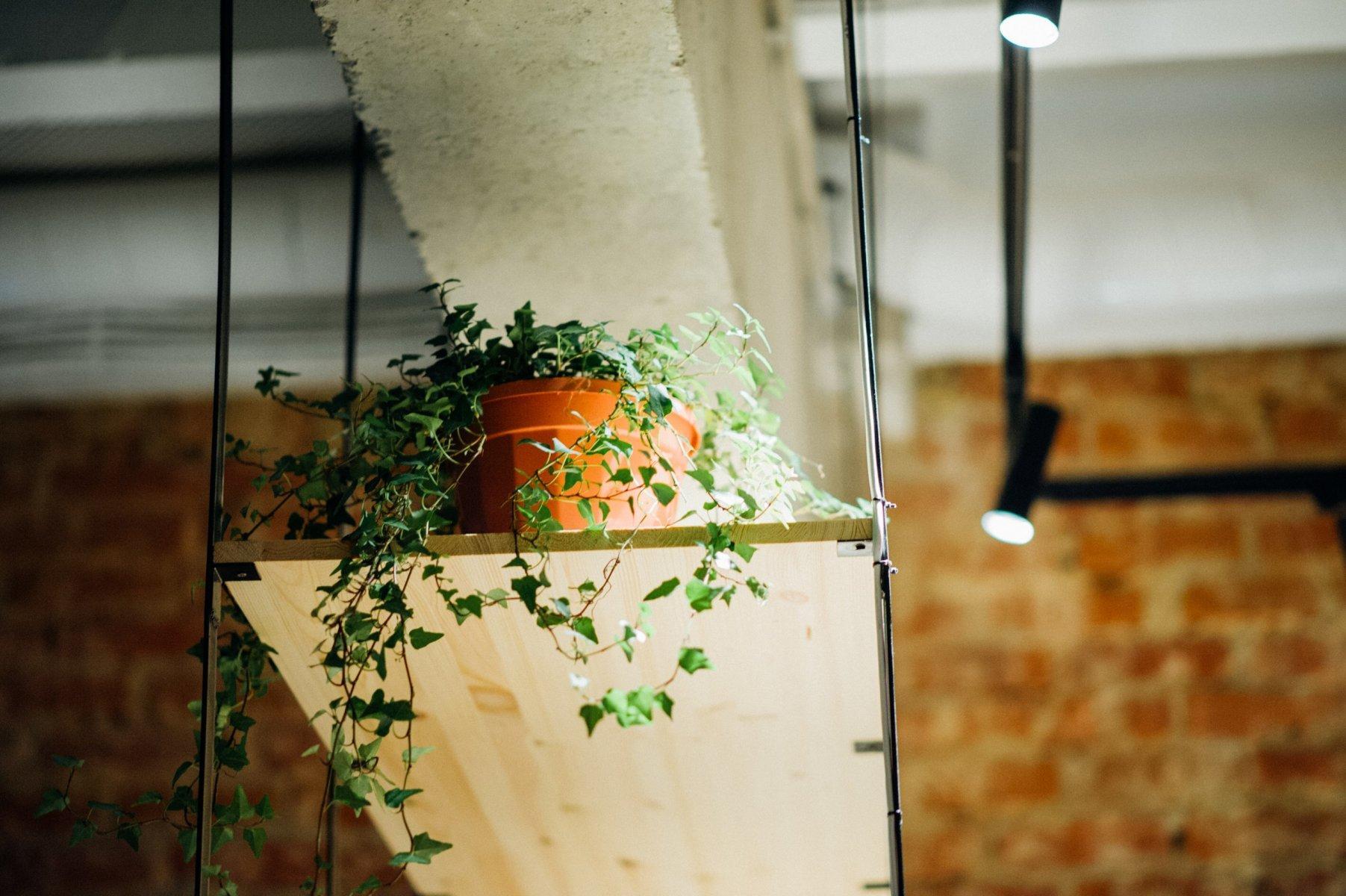 Типография тула клуб Типография тула клуб